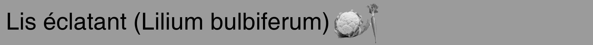 Étiquette de : Lilium bulbiferum - format a - style noire52hel avec comestibilité simplifiée