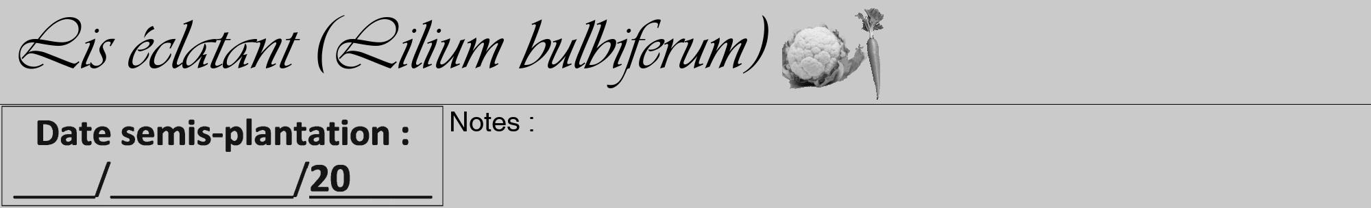Étiquette de : Lilium bulbiferum - format a - style noire21viv avec comestibilité simplifiée