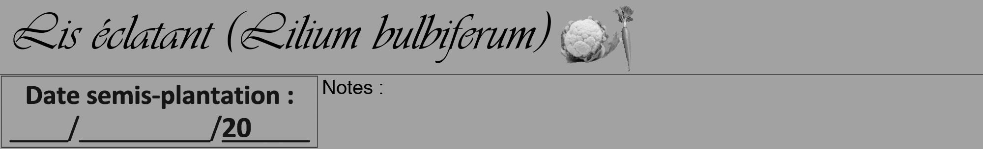 Étiquette de : Lilium bulbiferum - format a - style noire38viv avec comestibilité simplifiée