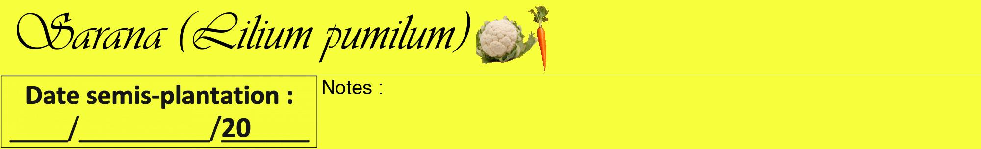 Étiquette de : Lilium pumilum - format a - style noire18viv avec comestibilité simplifiée