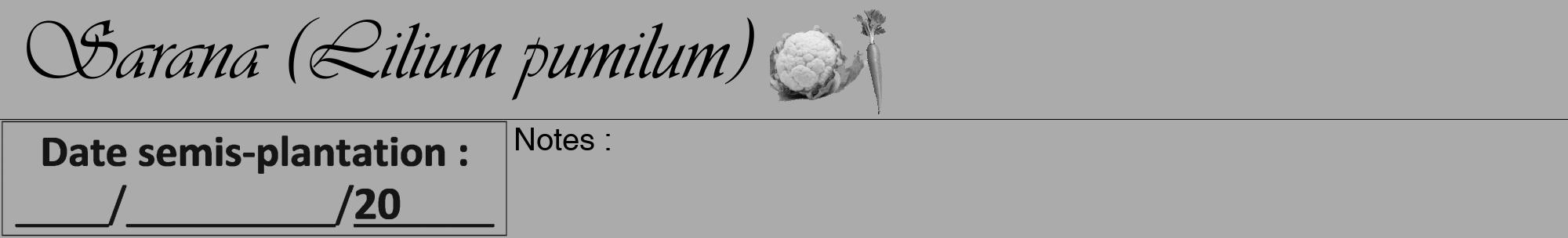 Étiquette de : Lilium pumilum - format a - style noire37viv avec comestibilité simplifiée
