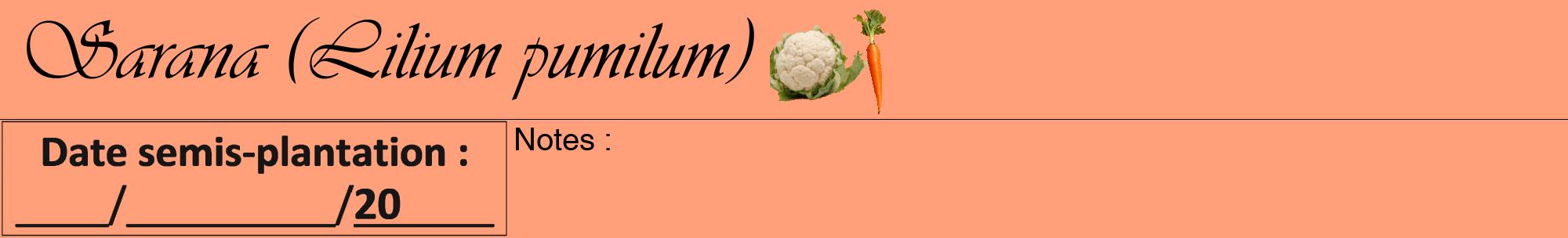 Étiquette de : Lilium pumilum - format a - style noire39viv avec comestibilité simplifiée