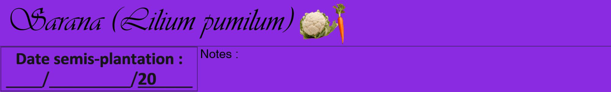 Étiquette de : Lilium pumilum - format a - style noire49viv avec comestibilité simplifiée