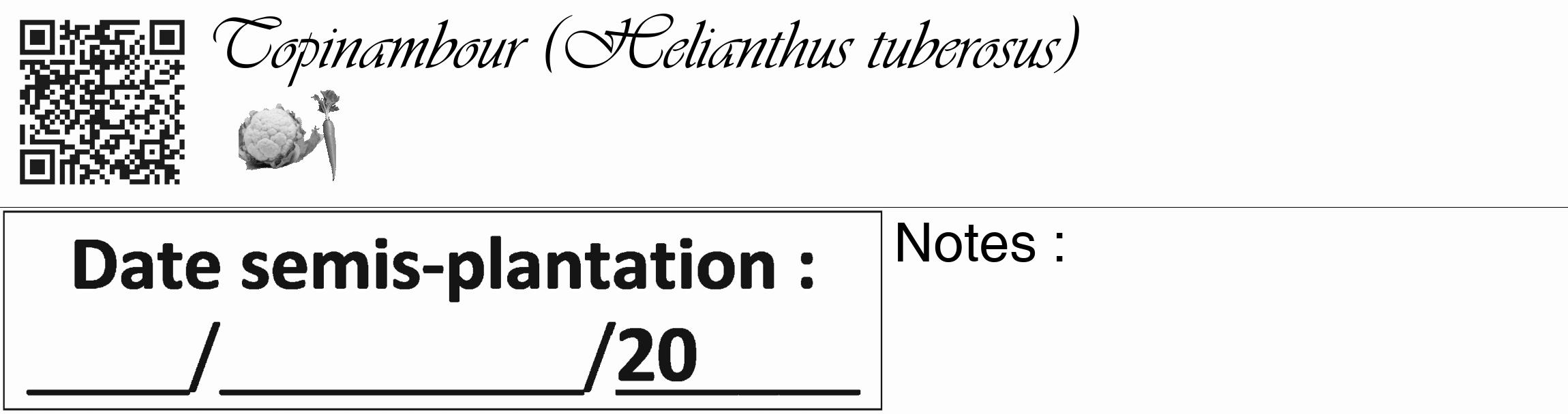 Étiquette de : Helianthus tuberosus - format c - style noire19_basique_basiqueviv avec qrcode et comestibilité simplifiée