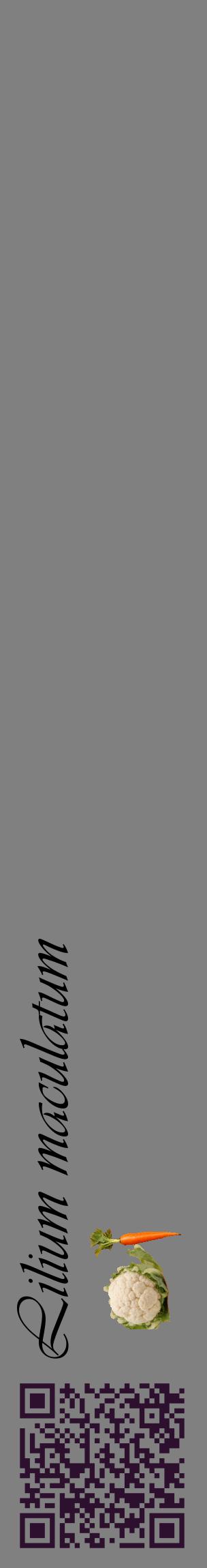 Étiquette de : Lilium maculatum - format c - style noire57_basiqueviv avec qrcode et comestibilité simplifiée