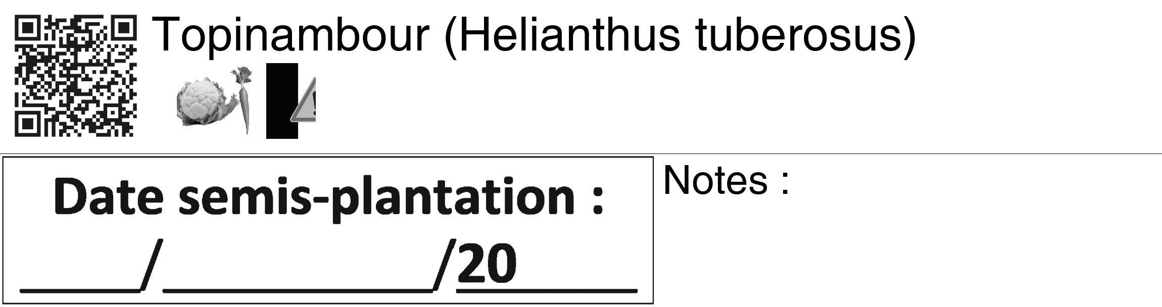 Étiquette de : Helianthus tuberosus - format c - style noire60_basiquegrrvhel avec qrcode et comestibilité simplifiée