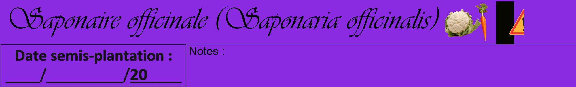 Étiquette de : Saponaria officinalis - format a - style noire49basiqueviv avec comestibilité simplifiée