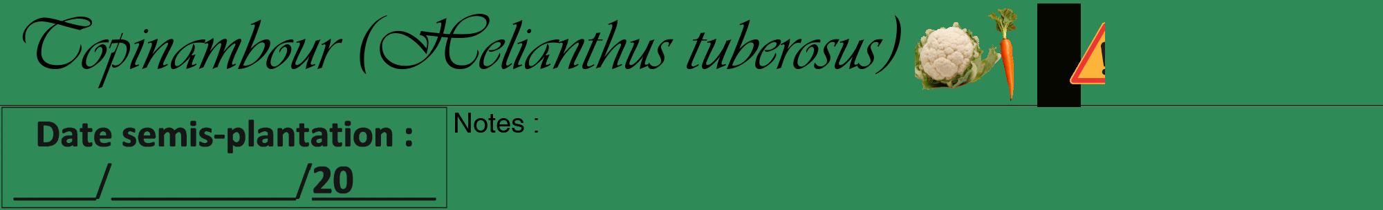 Étiquette de : Helianthus tuberosus - format a - style noire11viv avec comestibilité simplifiée
