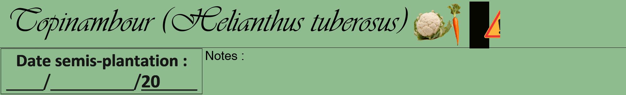 Étiquette de : Helianthus tuberosus - format a - style noire13viv avec comestibilité simplifiée