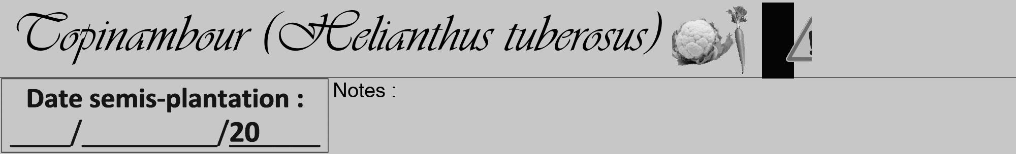 Étiquette de : Helianthus tuberosus - format a - style noire15viv avec comestibilité simplifiée