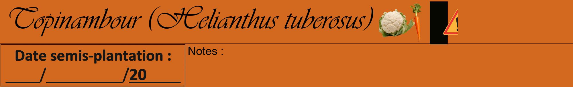 Étiquette de : Helianthus tuberosus - format a - style noire31viv avec comestibilité simplifiée