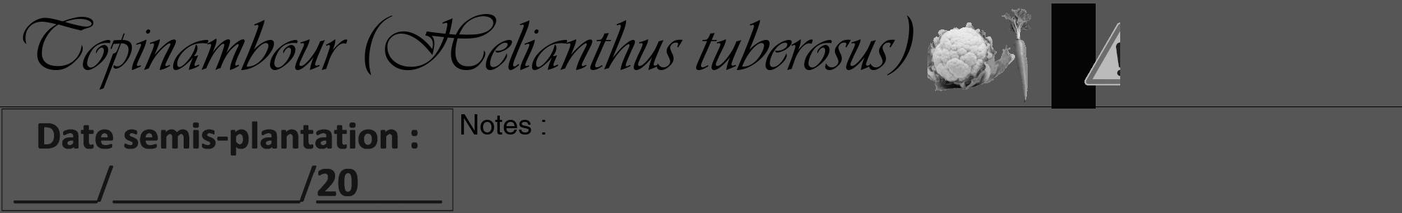 Étiquette de : Helianthus tuberosus - format a - style noire45viv avec comestibilité simplifiée