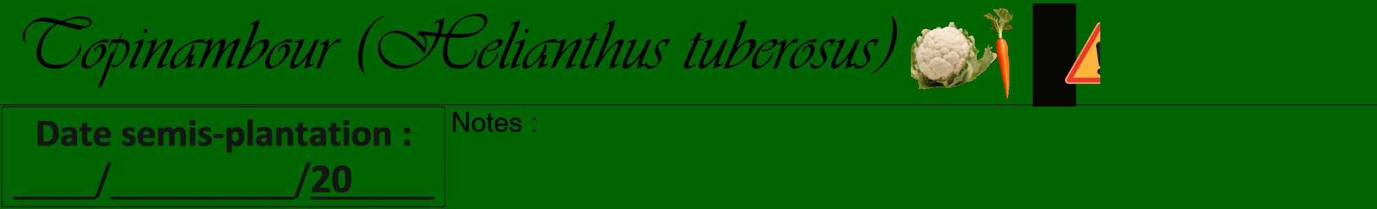 Étiquette de : Helianthus tuberosus - format a - style noire8viv avec comestibilité simplifiée