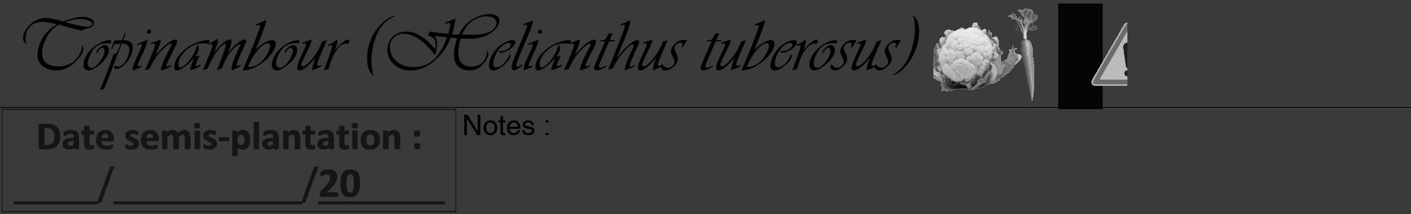Étiquette de : Helianthus tuberosus - format a - style noire8viv avec comestibilité simplifiée