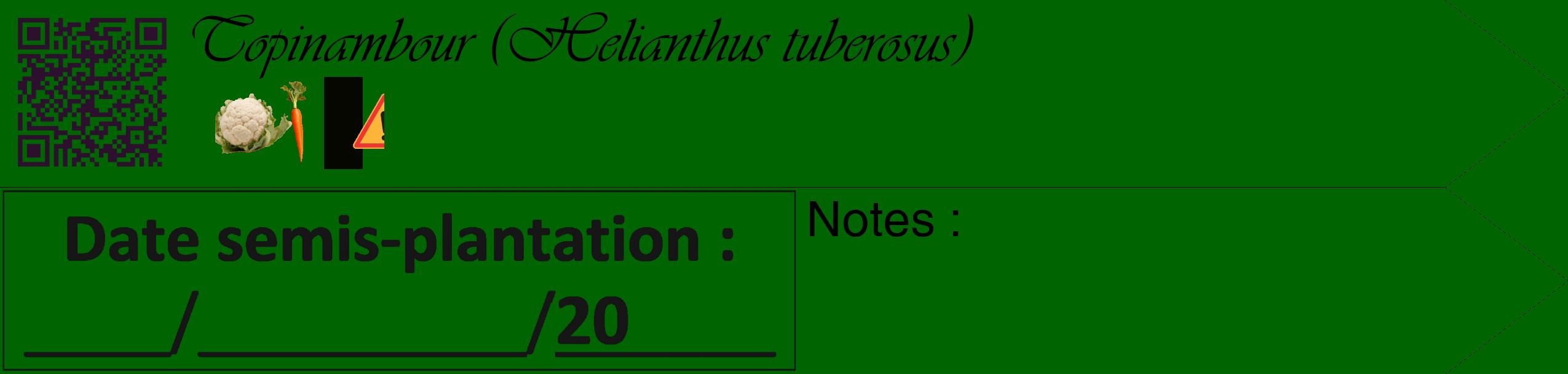 Étiquette de : Helianthus tuberosus - format c - style noire8_simple_simpleviv avec qrcode et comestibilité simplifiée