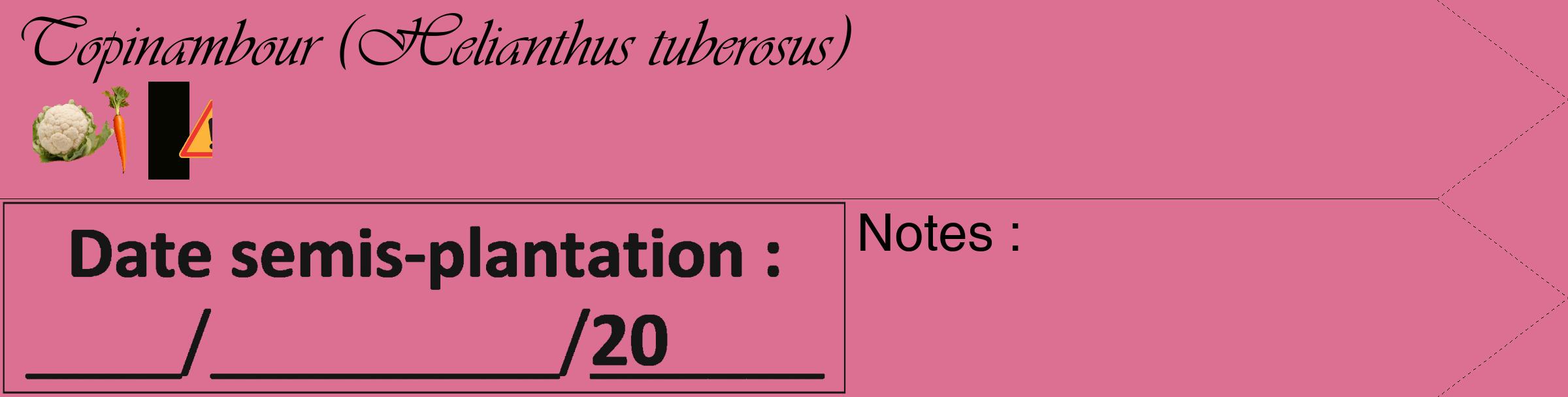 Étiquette de : Helianthus tuberosus - format c - style noire44_simple_simpleviv avec comestibilité simplifiée