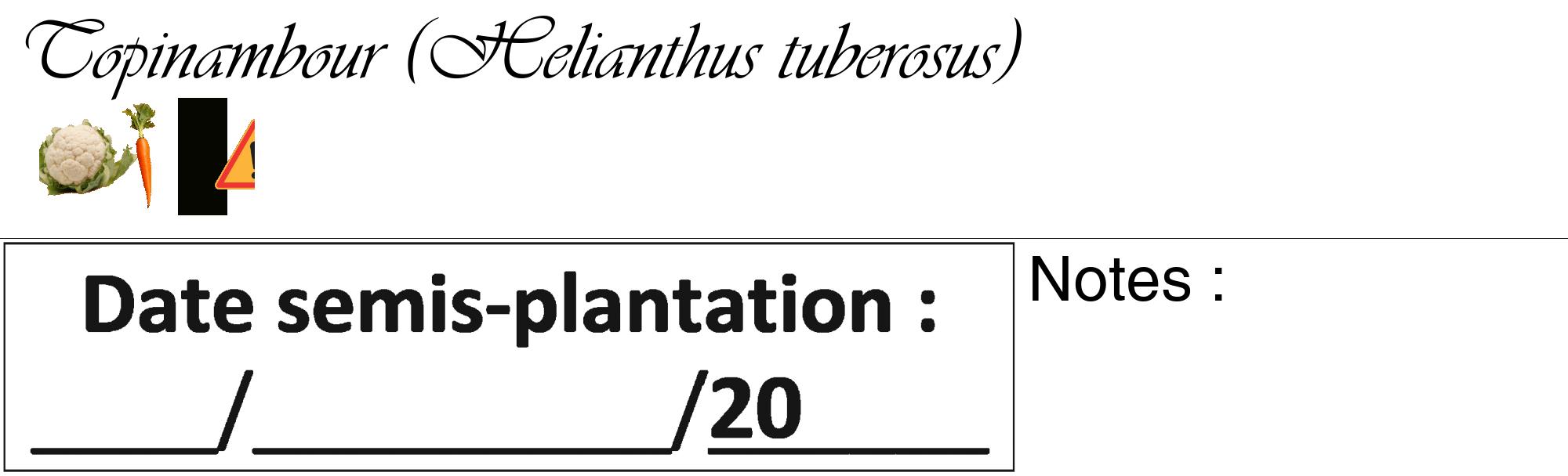 Étiquette de : Helianthus tuberosus - format c - style noire60_basique_basiqueviv avec comestibilité simplifiée