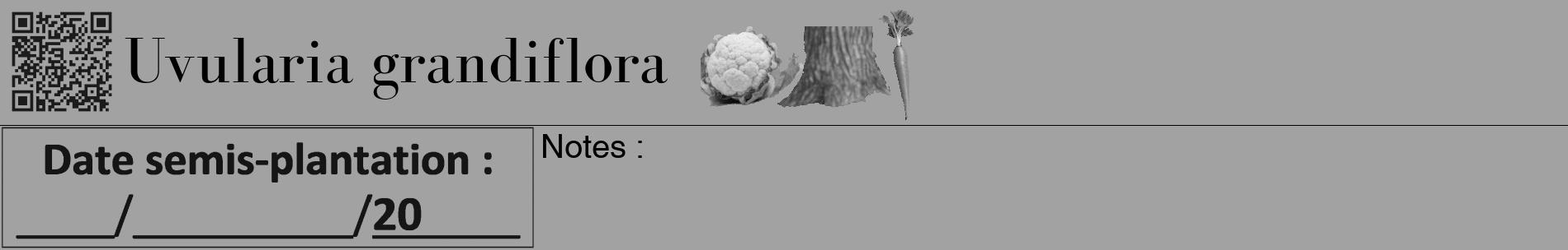 Étiquette de : Uvularia grandiflora - format a - style noire38basiquebod avec qrcode et comestibilité simplifiée