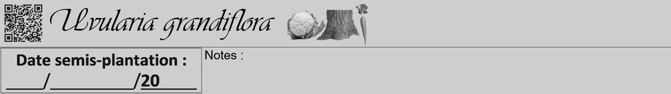 Étiquette de : Uvularia grandiflora - format a - style noire17viv avec qrcode et comestibilité simplifiée