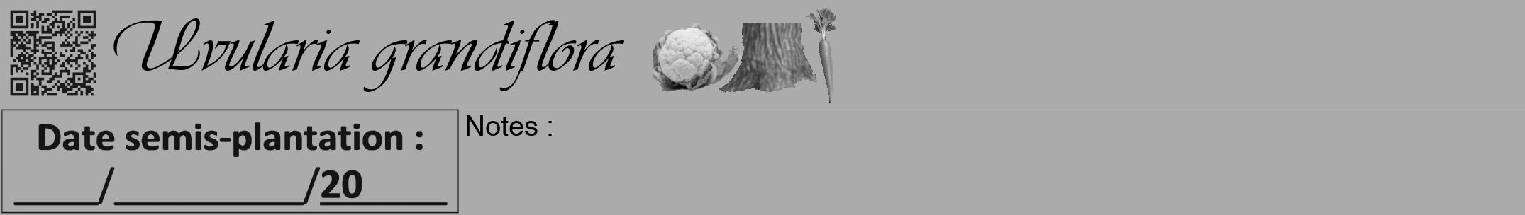 Étiquette de : Uvularia grandiflora - format a - style noire37viv avec qrcode et comestibilité simplifiée