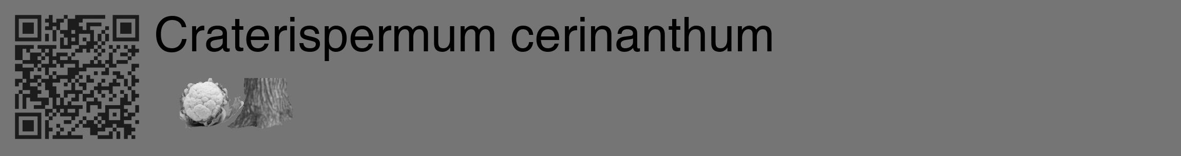 Étiquette de : Craterispermum cerinanthum - format c - style noire5_basique_basiquehel avec qrcode et comestibilité simplifiée