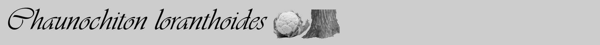 Étiquette de : Chaunochiton loranthoides - format a - style noire0basiqueviv avec comestibilité simplifiée