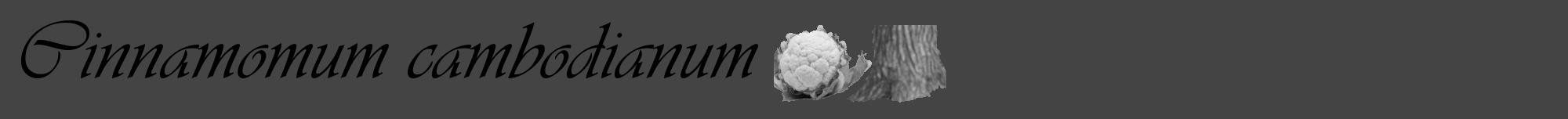Étiquette de : Cinnamomum cambodianum - format a - style noire48viv avec comestibilité simplifiée