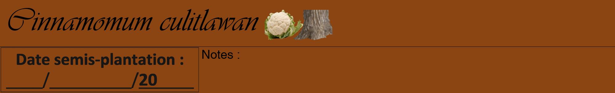 Étiquette de : Cinnamomum culitlawan - format a - style noire30viv avec comestibilité simplifiée