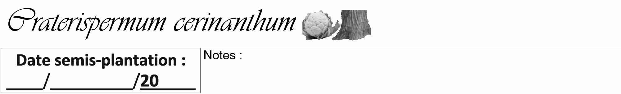 Étiquette de : Craterispermum cerinanthum - format a - style noire19viv avec comestibilité simplifiée