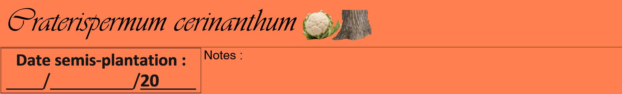Étiquette de : Craterispermum cerinanthum - format a - style noire24viv avec comestibilité simplifiée