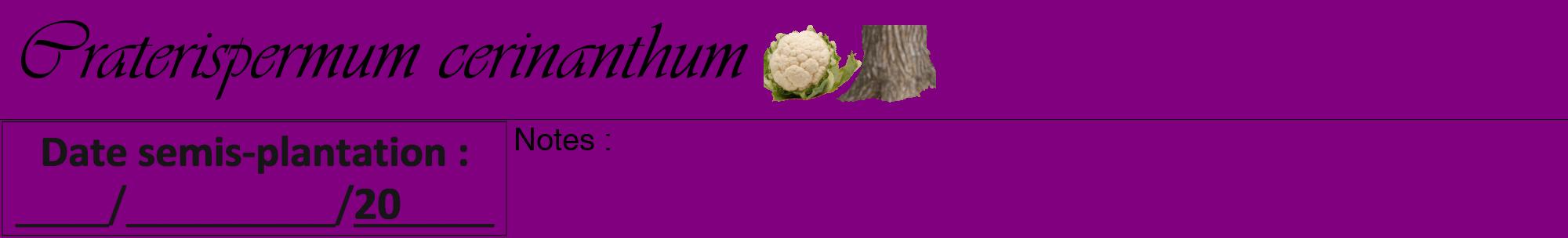 Étiquette de : Craterispermum cerinanthum - format a - style noire46viv avec comestibilité simplifiée