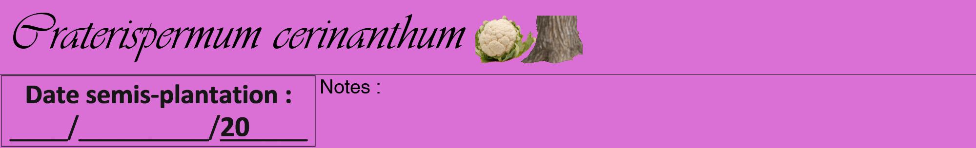 Étiquette de : Craterispermum cerinanthum - format a - style noire52viv avec comestibilité simplifiée