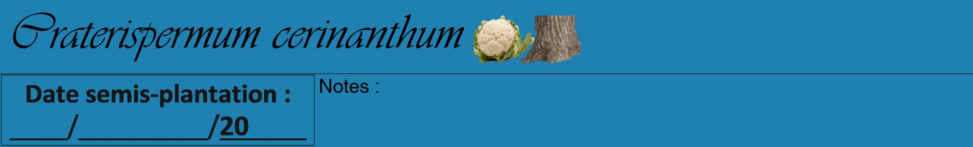 Étiquette de : Craterispermum cerinanthum - format a - style noire6viv avec comestibilité simplifiée