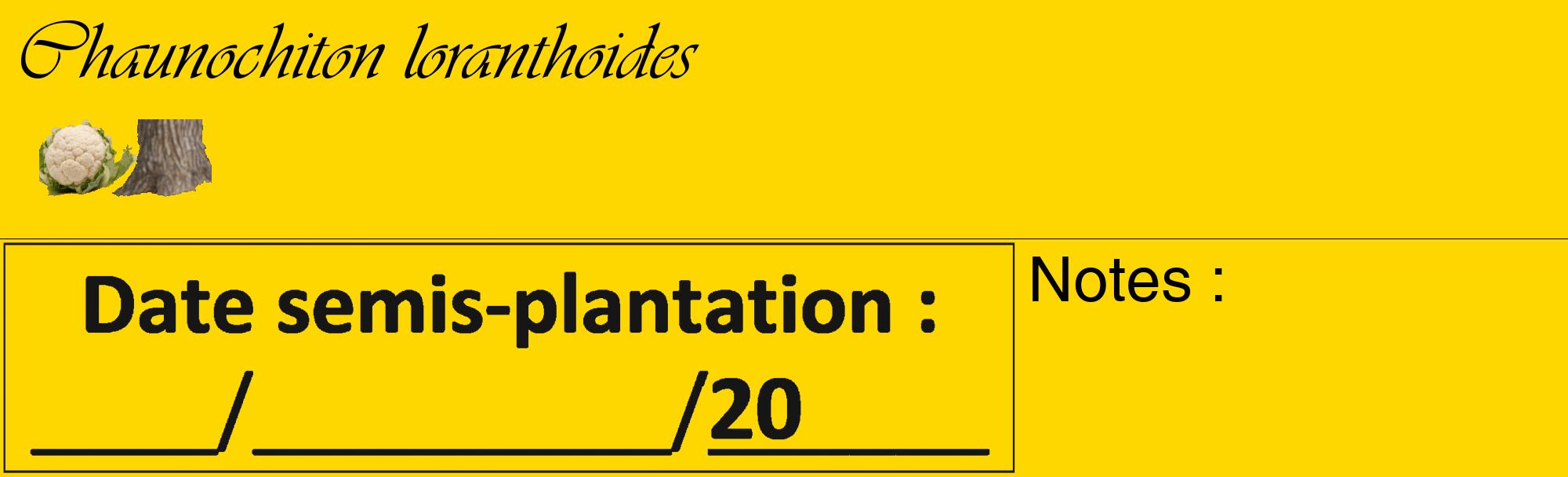 Étiquette de : Chaunochiton loranthoides - format c - style noire21_basique_basiqueviv avec comestibilité simplifiée