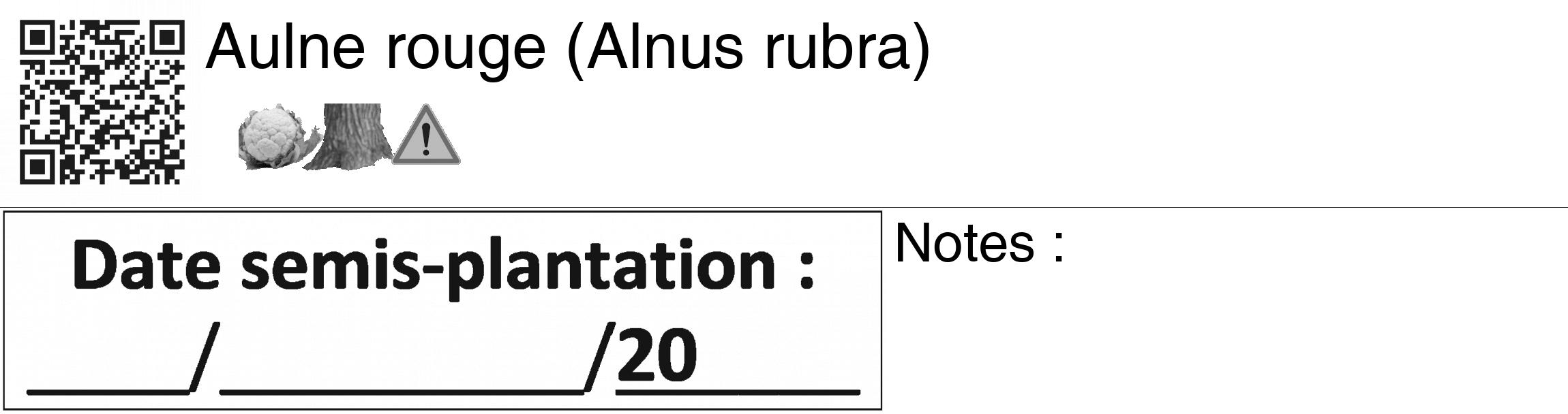 Étiquette de : Alnus rubra - format c - style noire60_basiquegrrvhel avec qrcode et comestibilité simplifiée