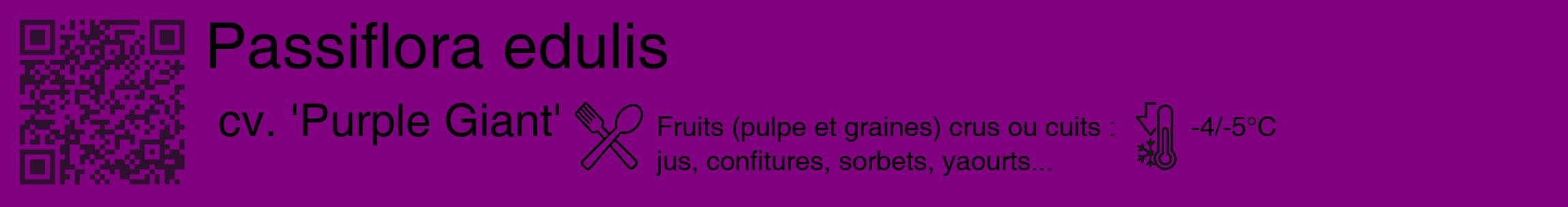 Étiquette de : Passiflora edulis cv. 'Purple Giant' - format c - style noire46_basique_basiquehel avec qrcode et comestibilité simplifiée