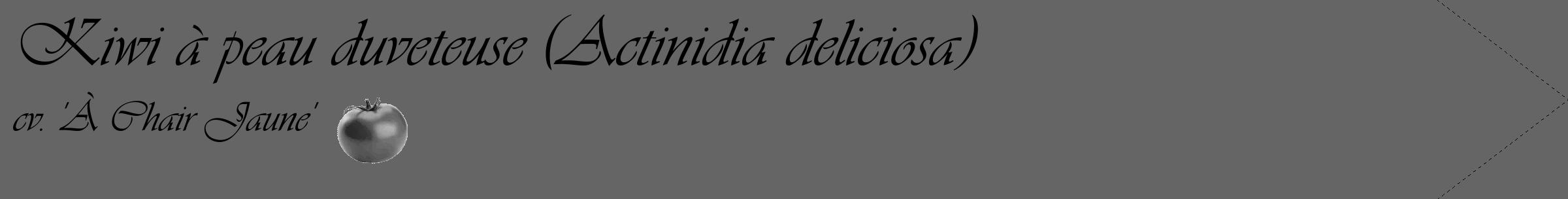 Étiquette de : Actinidia deliciosa cv. 'À Chair Jaune' - format c - style noire32_simple_simpleviv avec comestibilité simplifiée