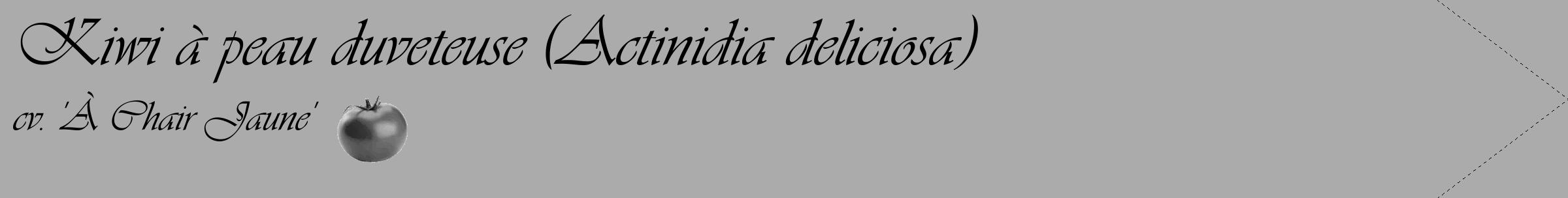 Étiquette de : Actinidia deliciosa cv. 'À Chair Jaune' - format c - style noire37_simple_simpleviv avec comestibilité simplifiée