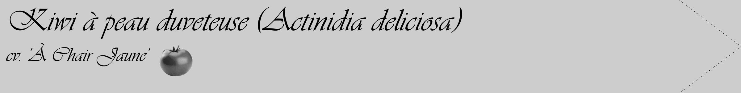 Étiquette de : Actinidia deliciosa cv. 'À Chair Jaune' - format c - style noire41_simple_simpleviv avec comestibilité simplifiée