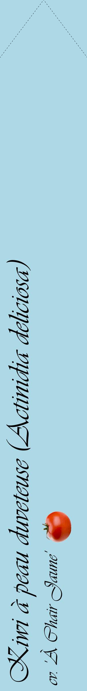 Étiquette de : Actinidia deliciosa cv. 'À Chair Jaune' - format c - style noire0_simpleviv avec comestibilité simplifiée