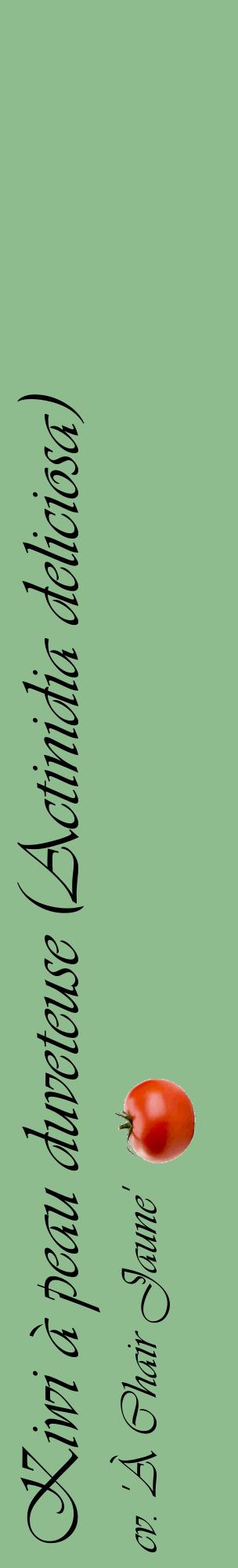 Étiquette de : Actinidia deliciosa cv. 'À Chair Jaune' - format c - style noire13_basiqueviv avec comestibilité simplifiée