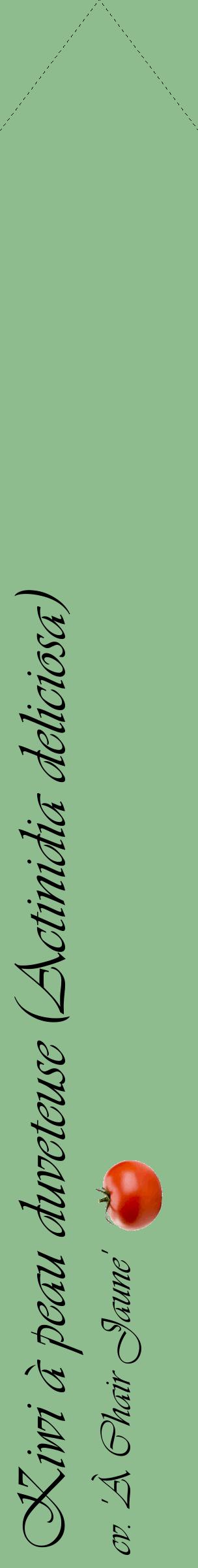 Étiquette de : Actinidia deliciosa cv. 'À Chair Jaune' - format c - style noire13_simpleviv avec comestibilité simplifiée