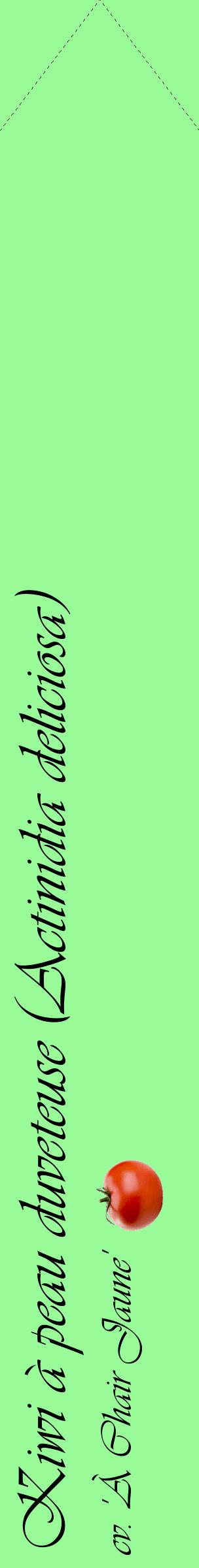 Étiquette de : Actinidia deliciosa cv. 'À Chair Jaune' - format c - style noire14_simpleviv avec comestibilité simplifiée