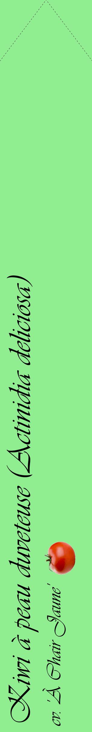 Étiquette de : Actinidia deliciosa cv. 'À Chair Jaune' - format c - style noire15_simpleviv avec comestibilité simplifiée