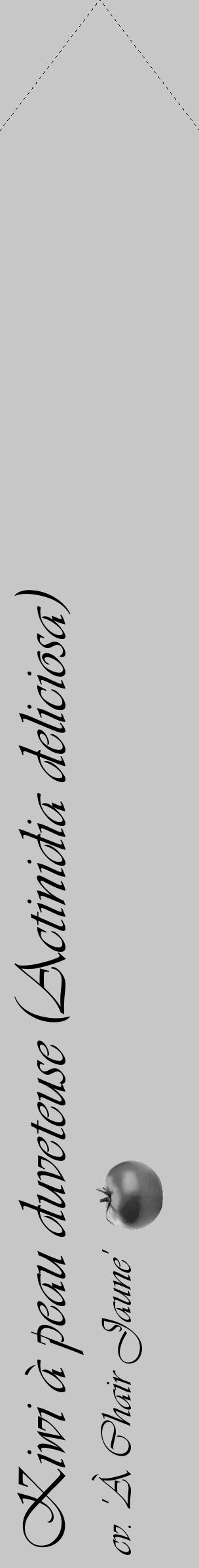 Étiquette de : Actinidia deliciosa cv. 'À Chair Jaune' - format c - style noire15_simple_simpleviv avec comestibilité simplifiée - position verticale