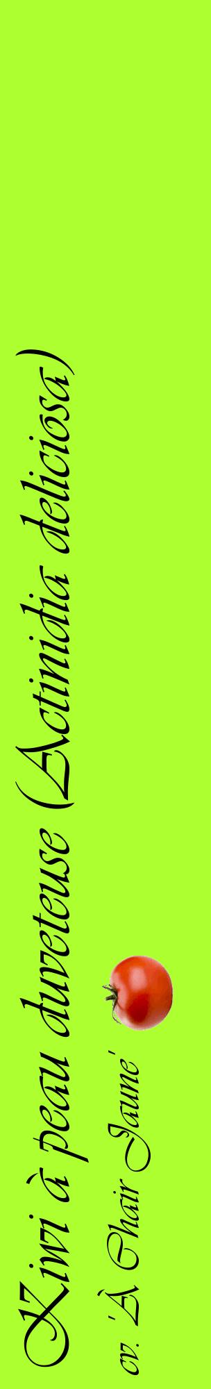 Étiquette de : Actinidia deliciosa cv. 'À Chair Jaune' - format c - style noire17_basiqueviv avec comestibilité simplifiée