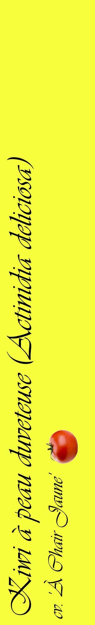 Étiquette de : Actinidia deliciosa cv. 'À Chair Jaune' - format c - style noire18_basiqueviv avec comestibilité simplifiée