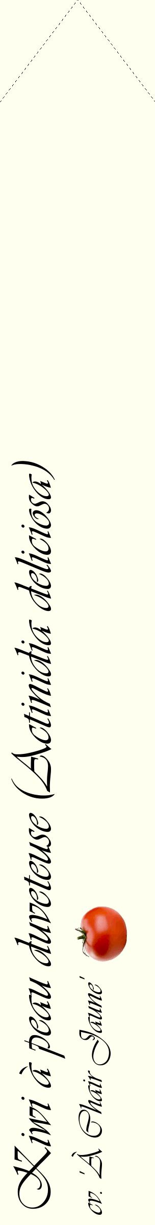 Étiquette de : Actinidia deliciosa cv. 'À Chair Jaune' - format c - style noire19_simpleviv avec comestibilité simplifiée