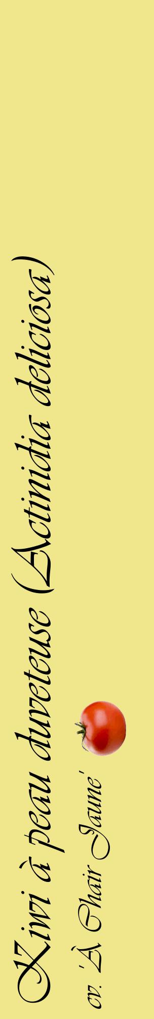 Étiquette de : Actinidia deliciosa cv. 'À Chair Jaune' - format c - style noire20_basiqueviv avec comestibilité simplifiée
