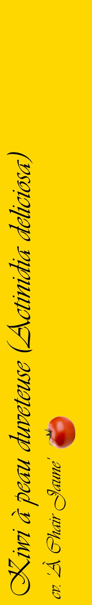 Étiquette de : Actinidia deliciosa cv. 'À Chair Jaune' - format c - style noire21_basiqueviv avec comestibilité simplifiée